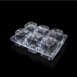 CLAMSHELL | CUPCAKE 6 PCS (OPS - C40)