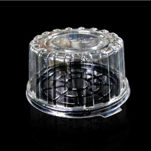 CLAMSHELL | CAKE 5'' (OPS - R04B)