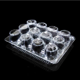 CLAMSHELL | CUPCAKE 12 PCS (OPS - C42)