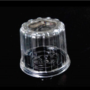 CLAMSHELL | MINI CAKE (OPS - R03B)
